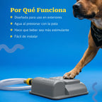 StepSpray Fountain – Paw-Activated Outdoor Water Fountain for Pets | Step-On Water