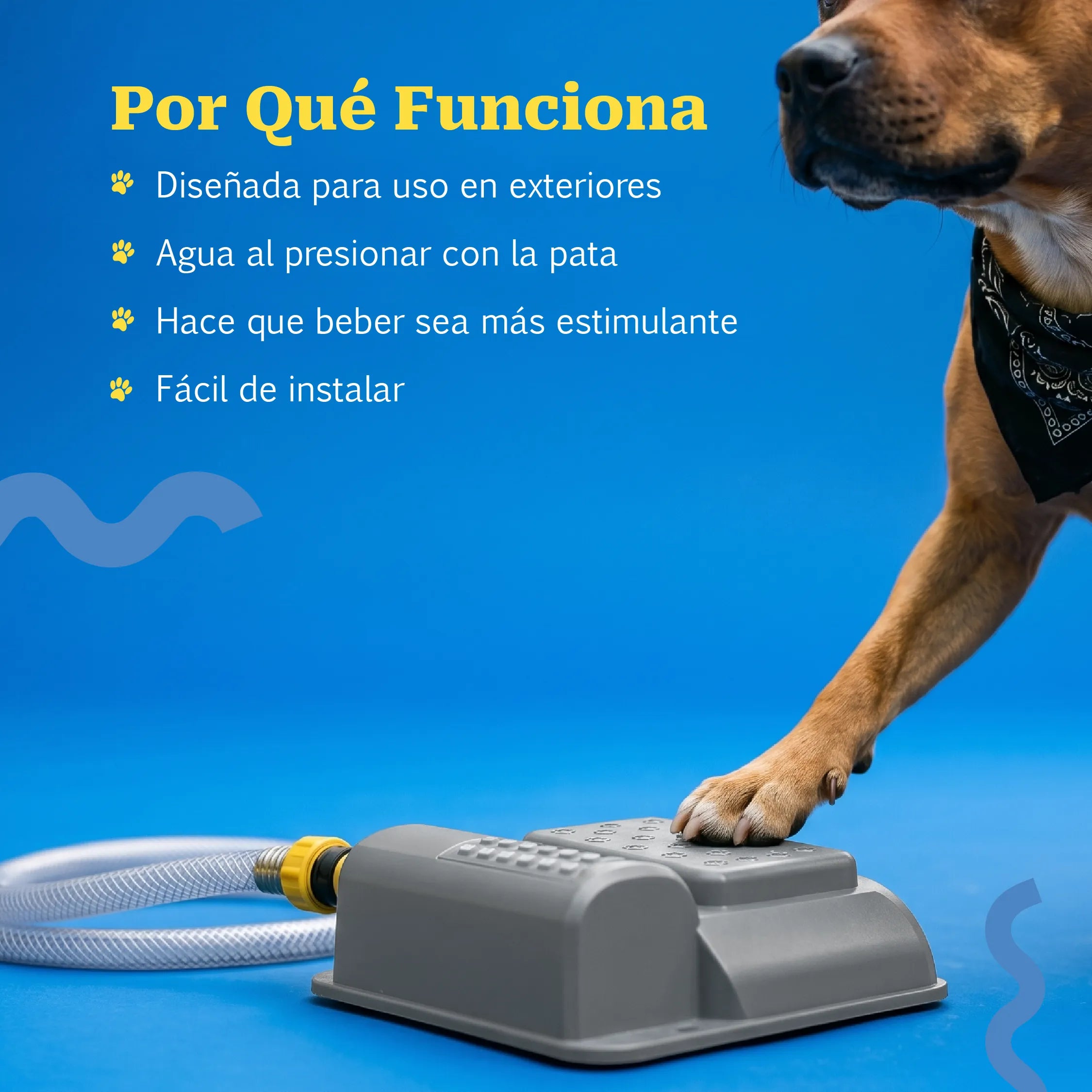 StepSpray Fountain – Paw-Activated Outdoor Water Fountain for Pets | Step-On Water