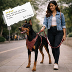TopDog Harness