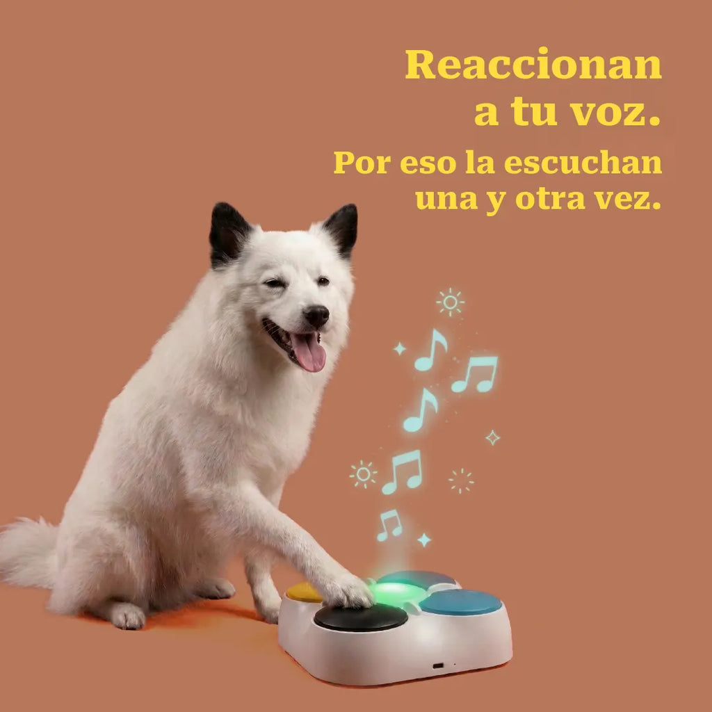 VoiceLoop | Record & Replay Voice Toy for Interactive Play