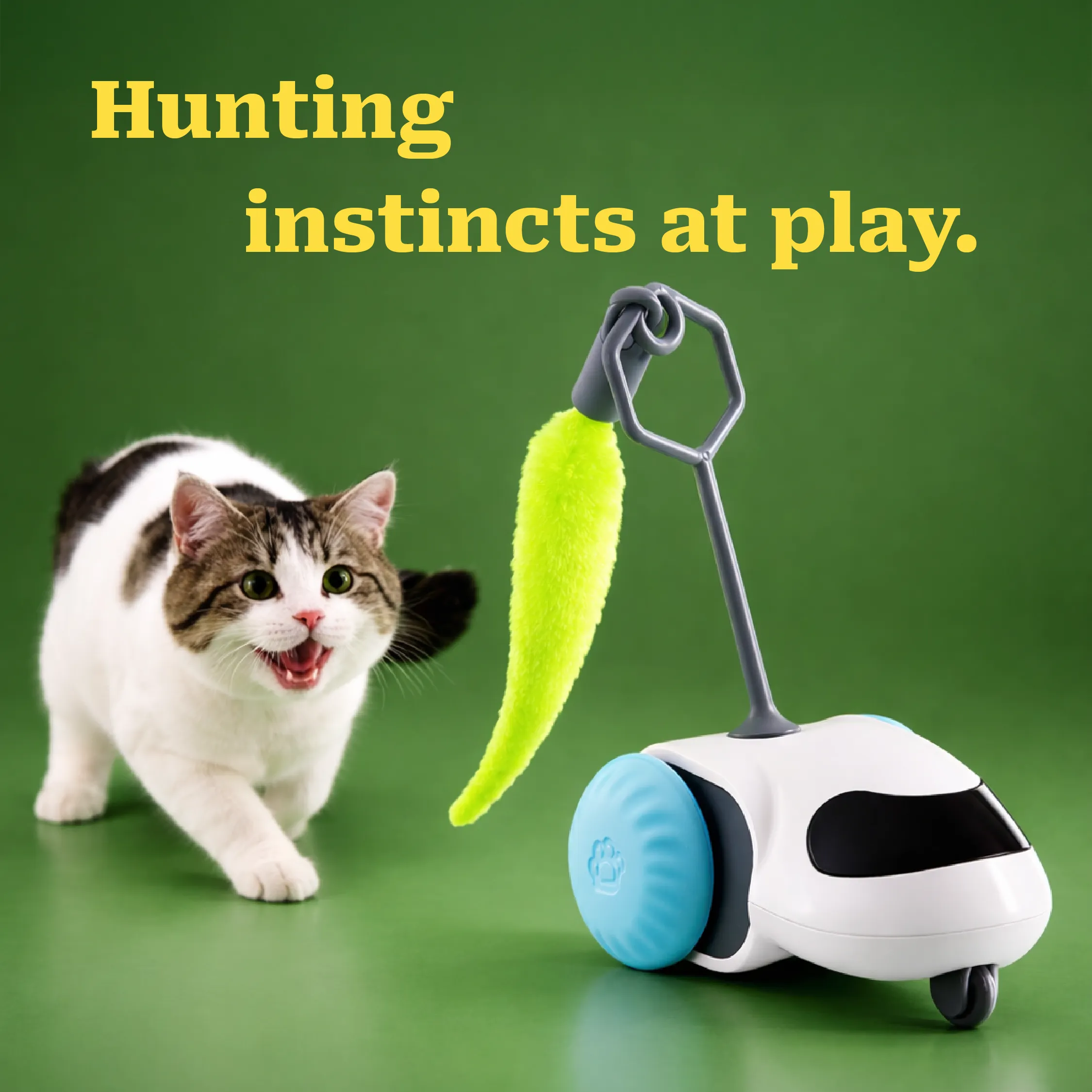 WhirlFlick | Interactive Motion Toy for Curious, Playful Pets