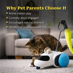 WhirlFlick | Interactive Motion Toy for Curious, Playful Pets