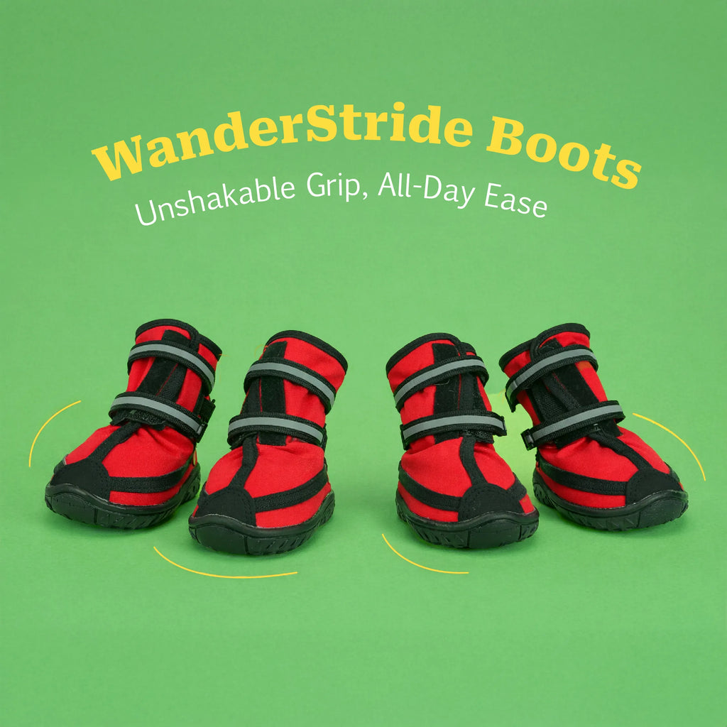 WanderStride Boots | Protective Non-Slip Pawwear for All-Weather Walks