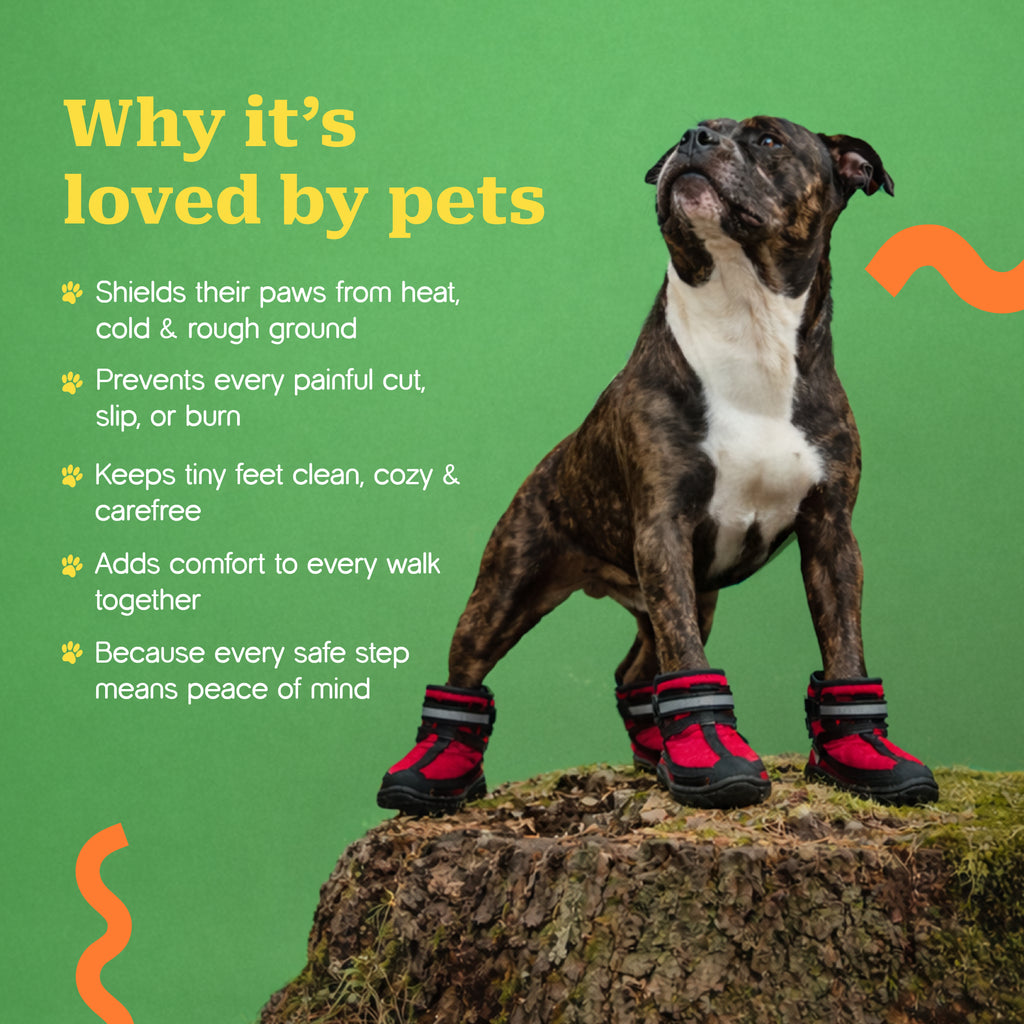 WanderStride Boots | Protective Non-Slip Pawwear for All-Weather Walks