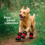 WanderStride Boots | Protective Non-Slip Pawwear for All-Weather Walks