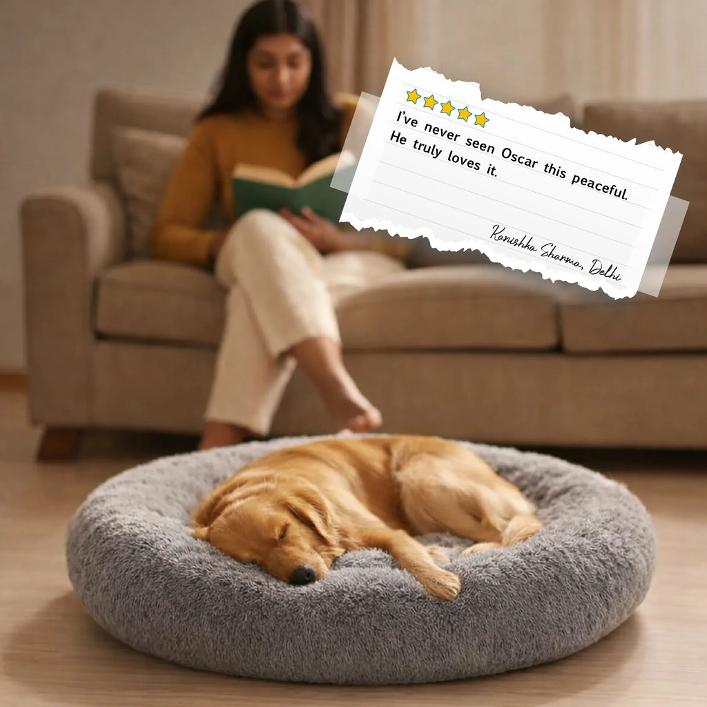 CurlSpot Calming Pet Bed | Stress-Relief Comfort for Deeper Sleep