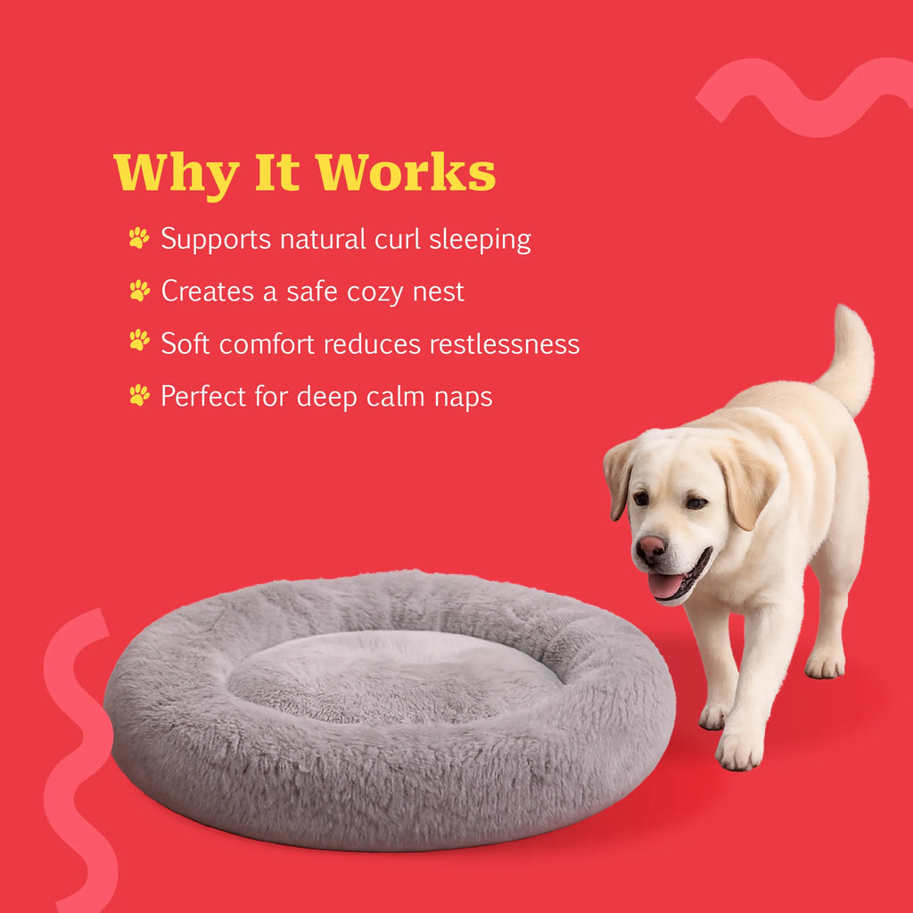 CurlSpot Calming Pet Bed | Stress-Relief Comfort for Deeper Sleep