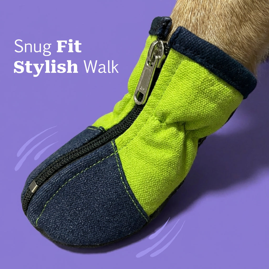 IndigoCore Pet Boots | Designed for Secure, Comfortable Walks