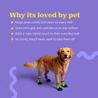 IndigoCore Pet Boots | Designed for Secure, Comfortable Walks