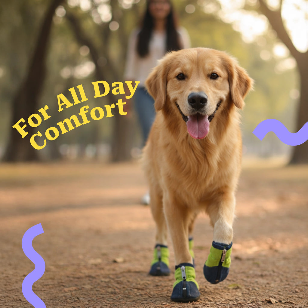IndigoCore Pet Boots | Designed for Secure, Comfortable Walks