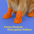 Crocster Boots – Breathable Silicone Paw Shoes for Dogs