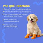 Crocster Boots – Breathable Silicone Paw Shoes for Dogs