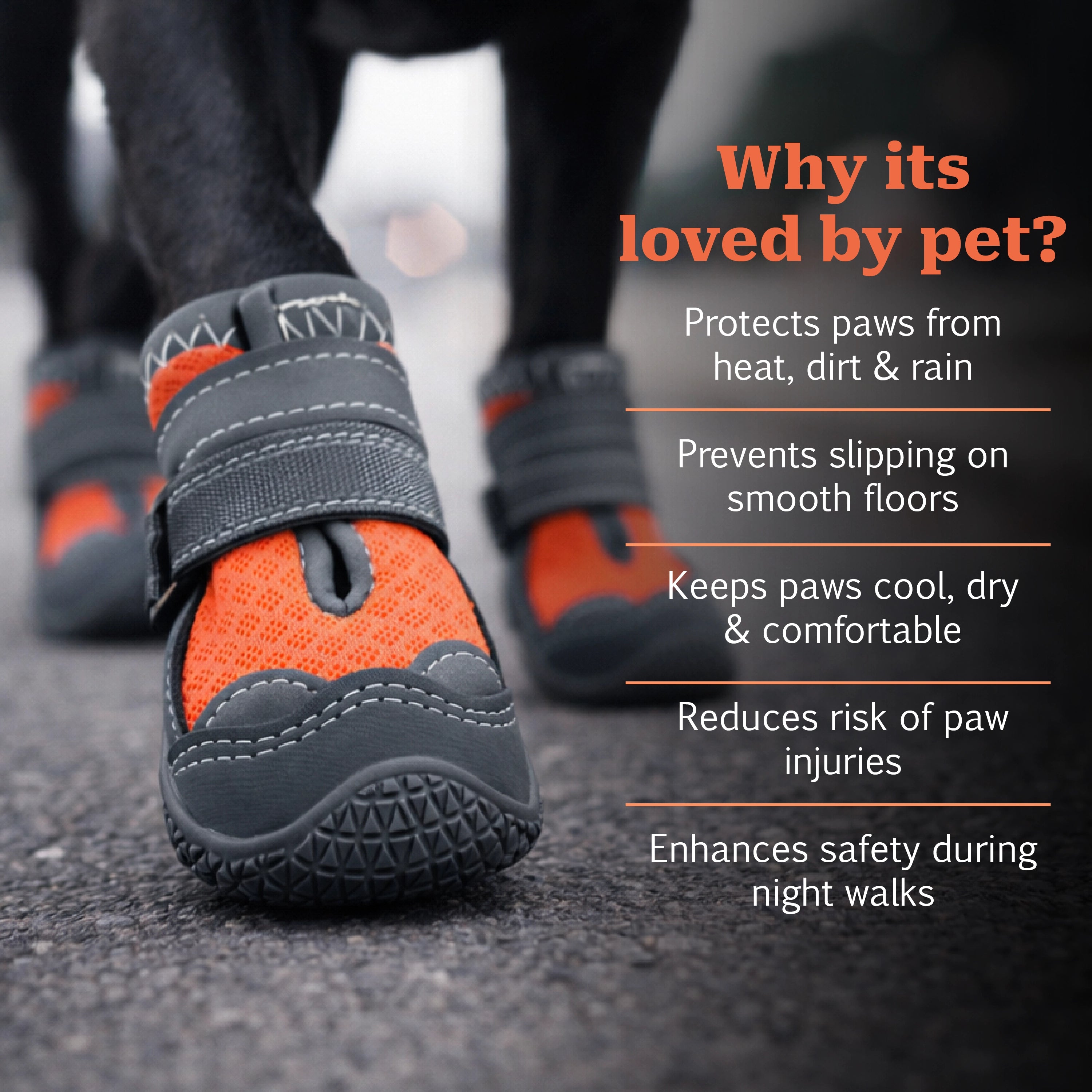 FirmStep Boots – Anti-Slip Paw Protection for Secure, Comfortable Walks