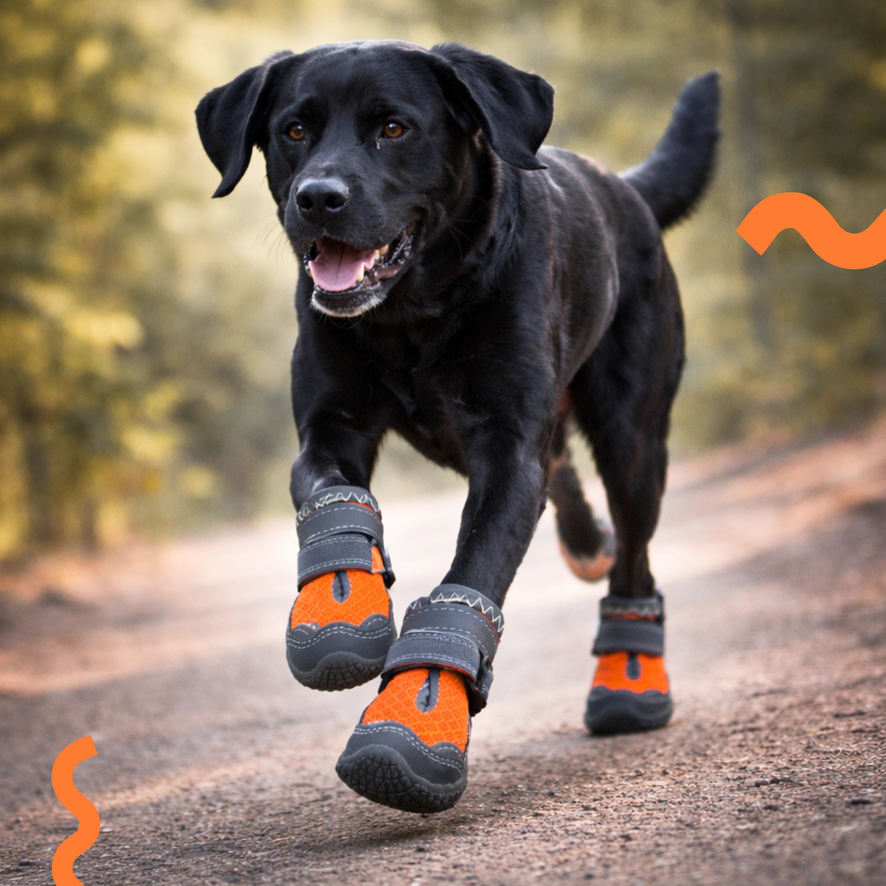 FirmStep Boots – Anti-Slip Paw Protection for Secure, Comfortable Walks
