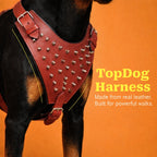 TopDog Harness