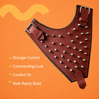TopDog Harness
