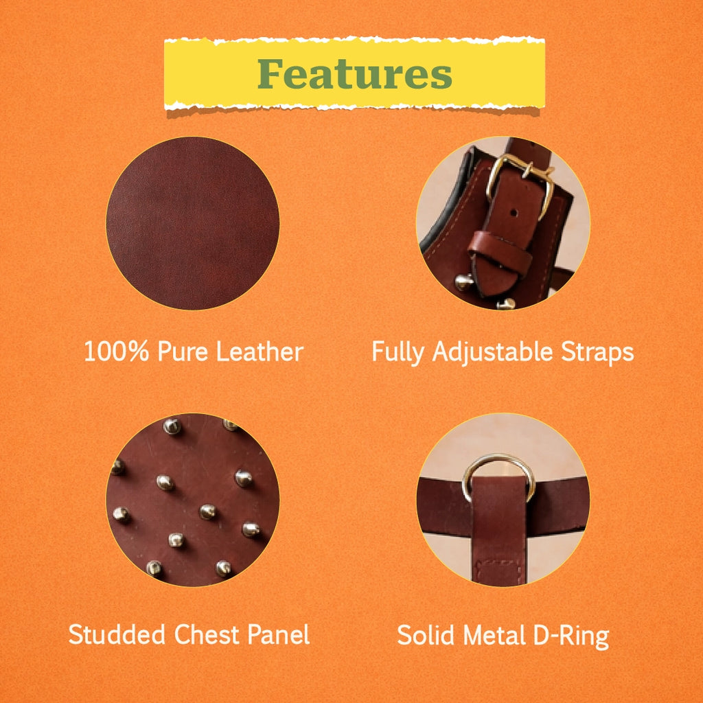 TopDog Harness