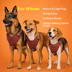 TopDog Harness