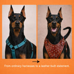 TopDog Harness