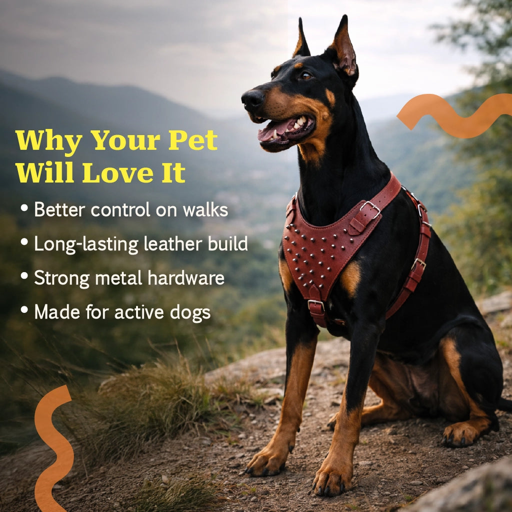 TopDog Harness