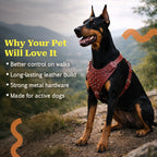 TopDog Harness
